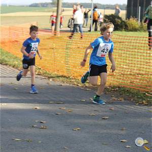 Weisseritztallauf 2019 223