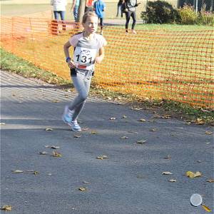 Weisseritztallauf 2019 225