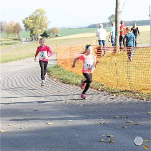 Weisseritztallauf 2019 227