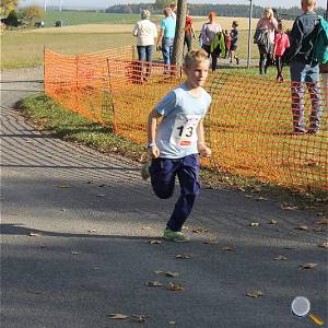 Weisseritztallauf 2019 230