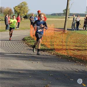 Weisseritztallauf 2019 237