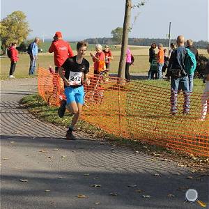 Weisseritztallauf 2019 242