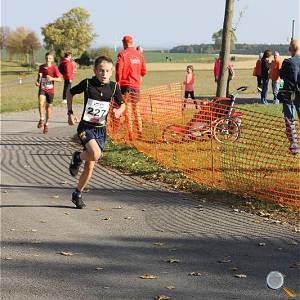 Weisseritztallauf 2019 249