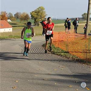 Weisseritztallauf 2019 271