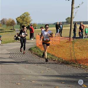 Weisseritztallauf 2019 277