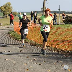 Weisseritztallauf 2019 285