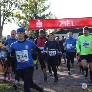 Weisseritztallauf 2023 011