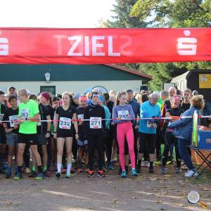 Weisseritztallauf 2023 016