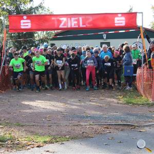 Weisseritztallauf 2023 017