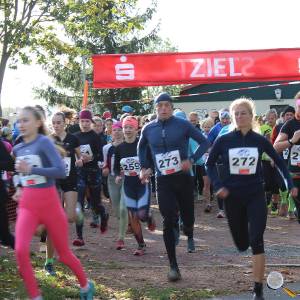 Weisseritztallauf 2023 020