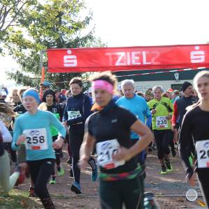 Weisseritztallauf 2023 021