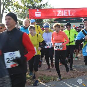 Weisseritztallauf 2023 023