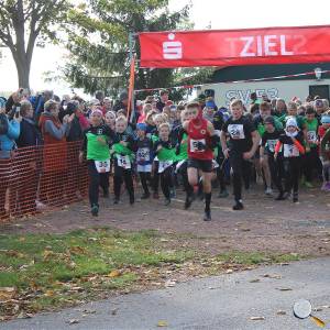 Weisseritztallauf 2023 030