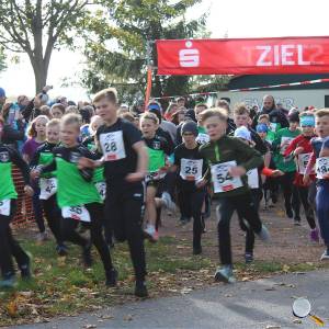 Weisseritztallauf 2023 031