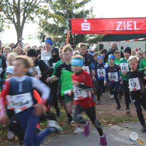 Weisseritztallauf 2023 032