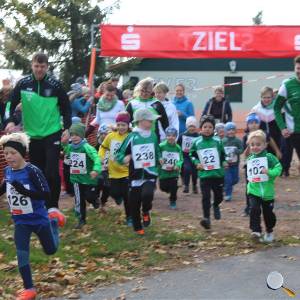 Weisseritztallauf 2023 039