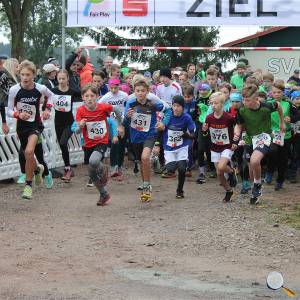 Weisseritztallauf 2024 0020