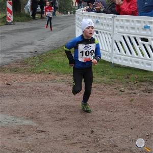 Weisseritztallauf 2024 0037